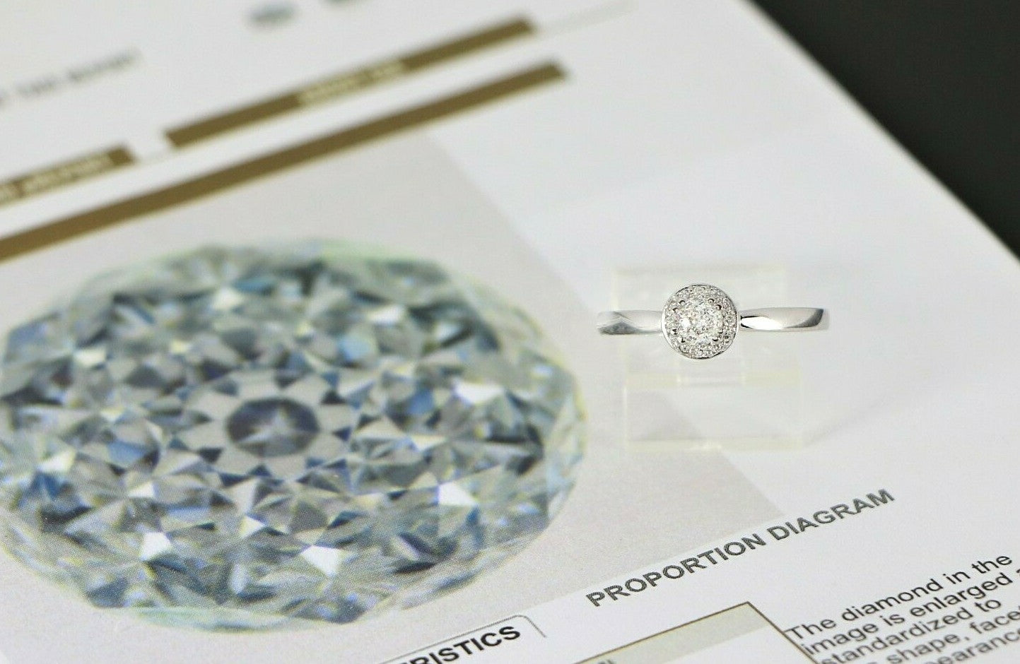 0.47ct Round Brilliant Diamond Halo Engagement Ring — GIA Certified, 14k White Gold